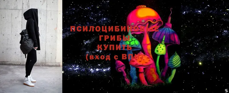 Галлюциногенные грибы Cubensis  Серпухов 